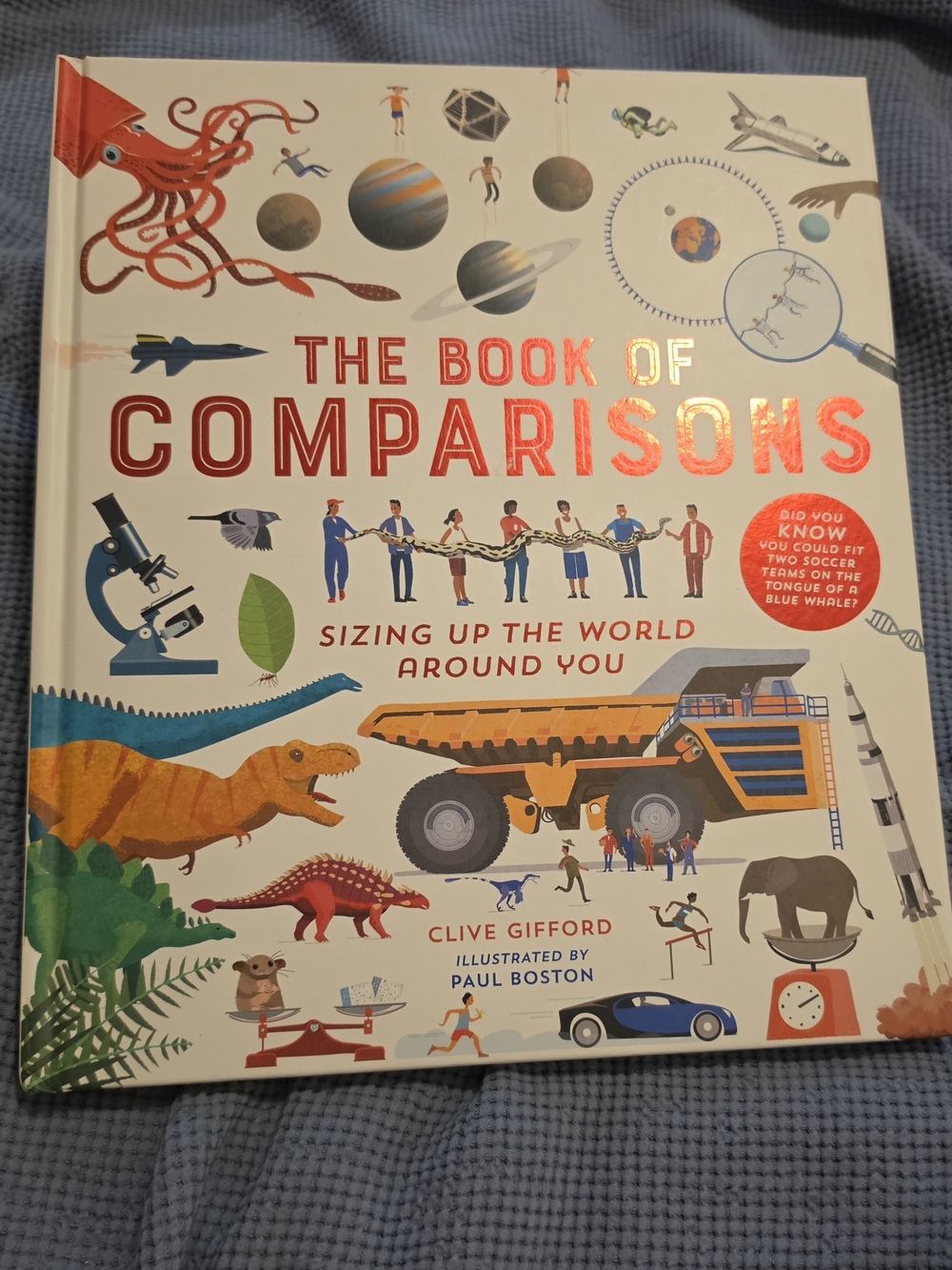 The Book of Comparisons - Kids Educational Picture Book (White/Red)